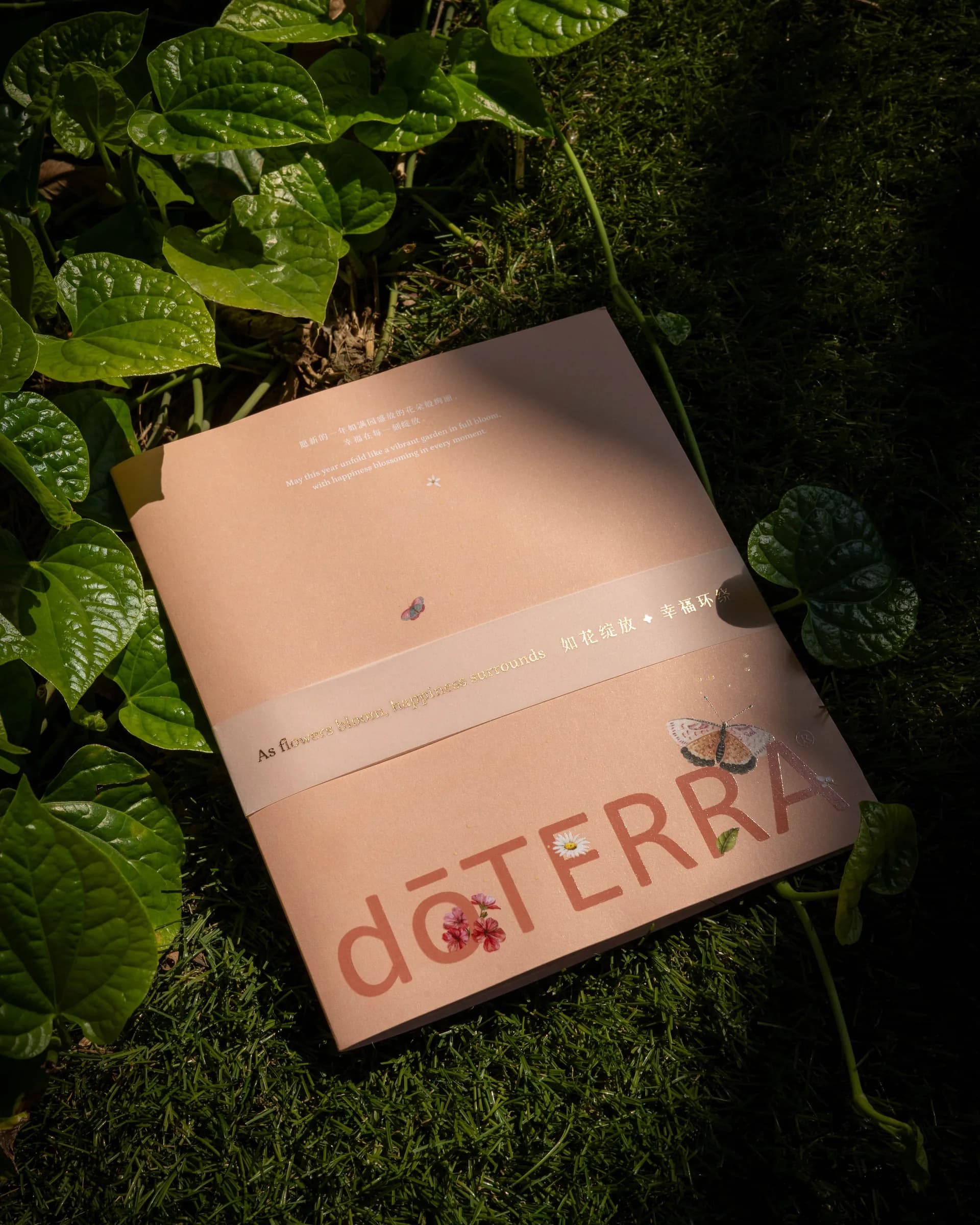 doTERRA — 3