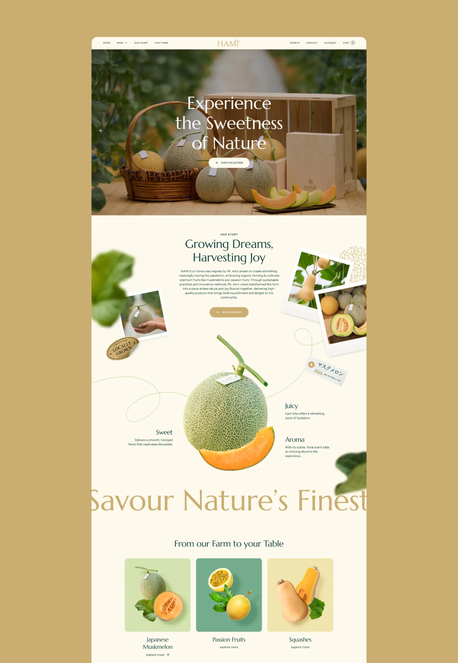 HAMI Ecofarm — 5
